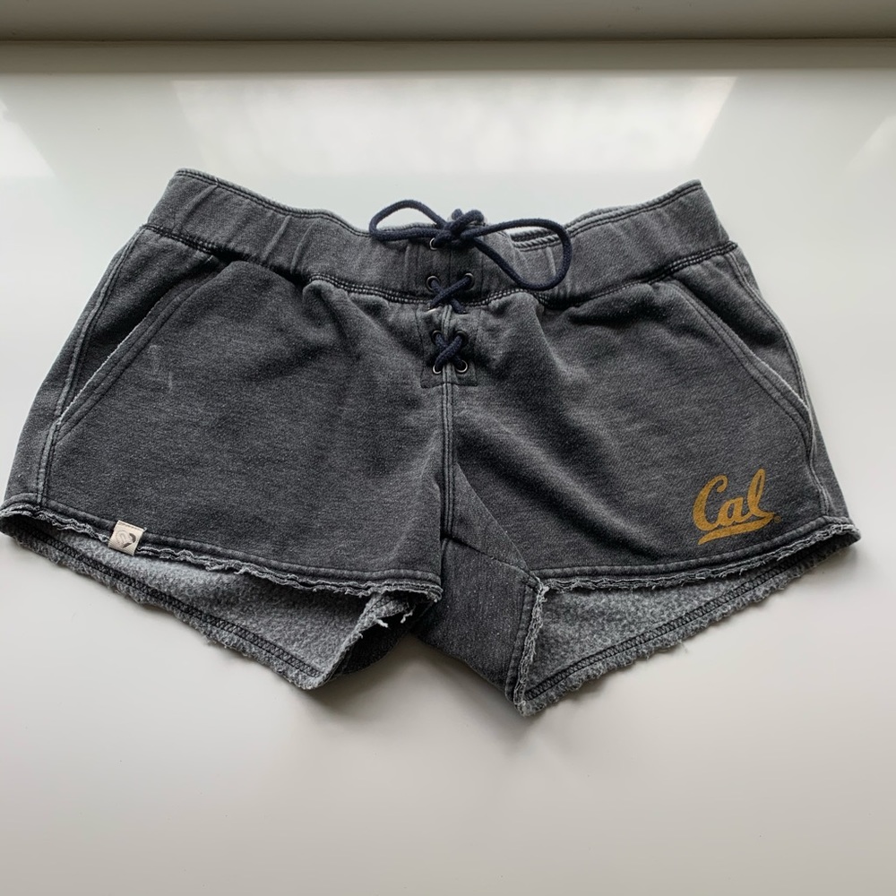 Cal Sweatshorts! 🟡🔵
